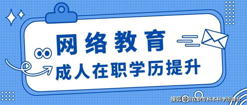 国有上市公司承认网络教育不?