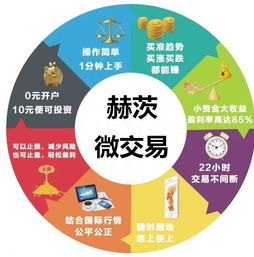 听说到了微交易，投资最短多久有回报啊，那个平台好啊，风险大吗