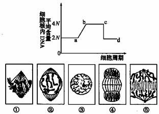 3.关于时刻和时间.下列说法正确的是 A.时刻表示时间极短.时间表示时间较长 B.时刻对应物体的位置.时间对应物体的位移或路程 C.火车站大屏幕上显示的是列车时刻表 