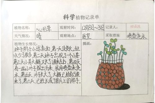 植物生长记录表简单 表情大全