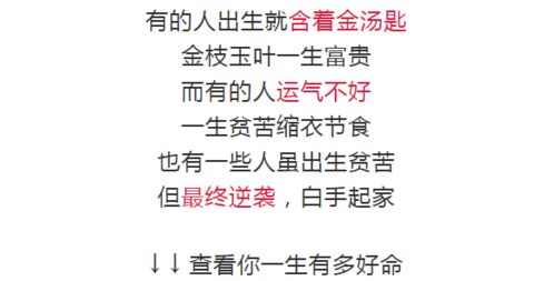 农历这3个月出生的属牛人,未来2年有财神引路,大财小财都入库