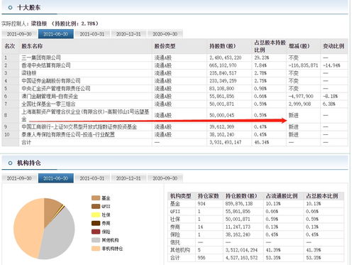 三一重工的三个大股东是哪三个? 就知道昆山三一重机是其中一个，另外两个是谁。。。？