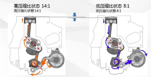 全新一代天籁 疯狂的沙发