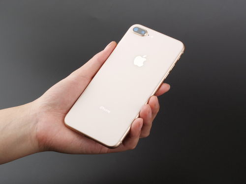 iphone8plus上市售价(苹果8plus上市价格多少)