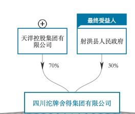 梦东方与天洋有什么关系？