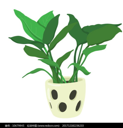 手绘植物盆栽元素绿色植物