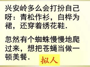 病句题目词语解释大全  六种常见语病类型和语法是什么？