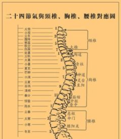 24节日养生对应表