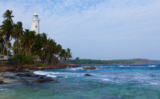 米瑞莎海滩旅游(斯里兰卡旅游景点推荐)