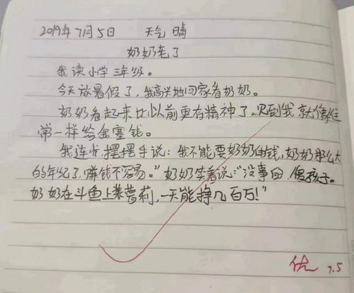 小学生课堂作业曝光,内容不按照常规出牌,网友 段子手