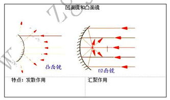 2016年湖南教师资格面试技巧 凸面镜和凹面镜 教学设计面试指导 