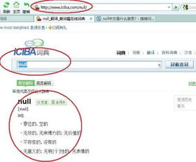 null是中文什么意思