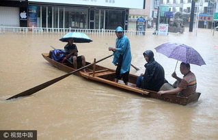 Torrential rain leaves S county flooded Chinadaily.com.cn 