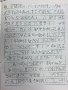 传统节日春节三年级作文300字