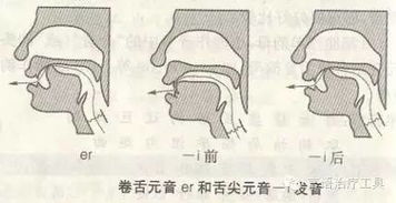 人體的發音器官是喉部還是聲帶(聲帶發聲器)