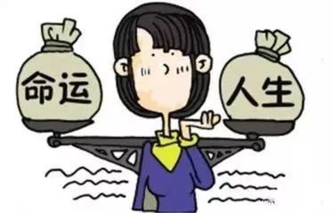 从中专到本科,我的学历提升之旅