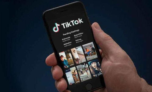 tiktok代运营方案_TikTok企业广告帐户开户咨询