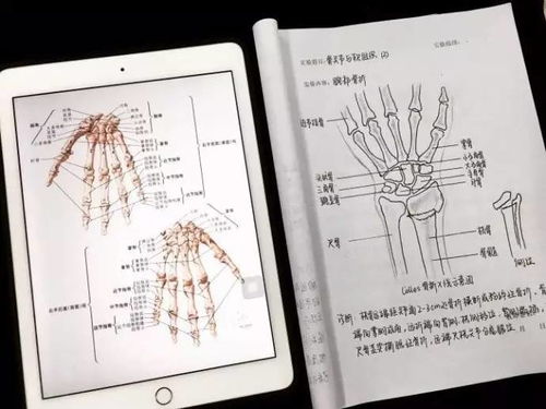 厉害了 一位医学生的手绘报告.... 