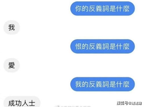 搞笑动图 两只神兽用如此深邃的眼神就这样望着你 你会跑吗