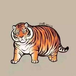 谁有这只胖老虎的图片,有的麻烦多发几张 谢谢了 
