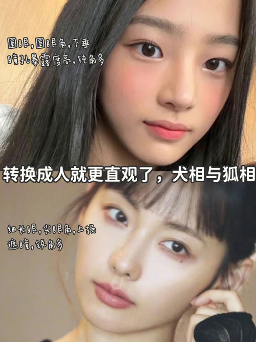 人间蛊王 拿捏狐系美人媚态美感 