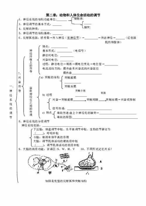 高中人教版生物必修三知识点总结