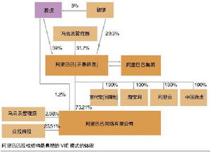 阿里巴巴 vie 和 双层股权协议的区别