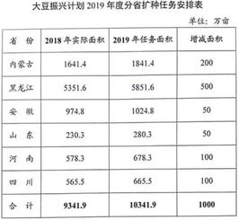 bor币的前景,bor币未来价格预测