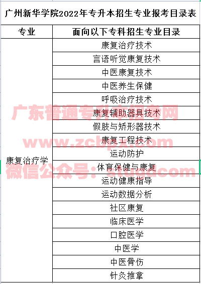 广州新华学院本科论文查重常见问题解答