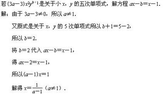 欧洲数学中函数的概念里，和“ONE-ONE”一起教授的“ONTO”的概念是什么意思