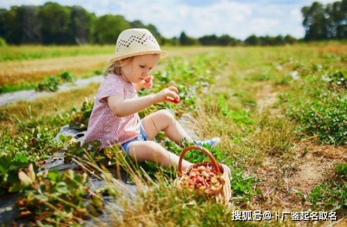 2021款女孩按生辰八字起名,有寓意的女宝宝名字大全和取名宜忌