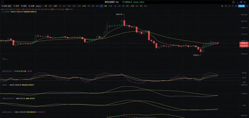 比特币市场行情分析_btc美元行情最新价格