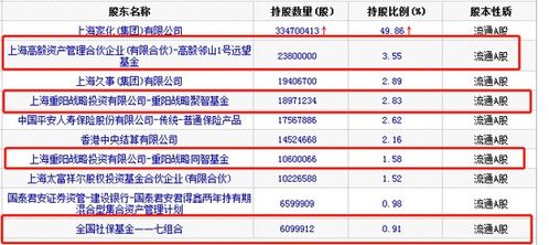 诺安股票基金持哪些股