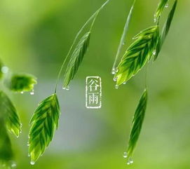 谷雨的含义是什么意思