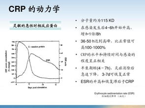 蛋白质高了是什么原因？