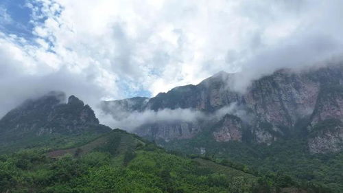 广西柳州九万大山