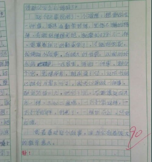 感动在心中荡漾作文800字初三