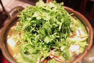 在日本,香菜又出神菜了 光靠名字就让小龙虾,麻辣火锅颤抖