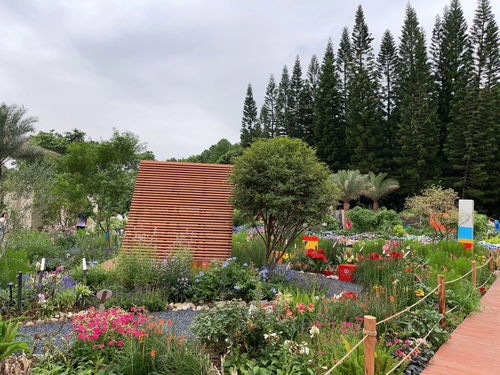 仙湖植物园(仙湖植物园需要提前预约吗)