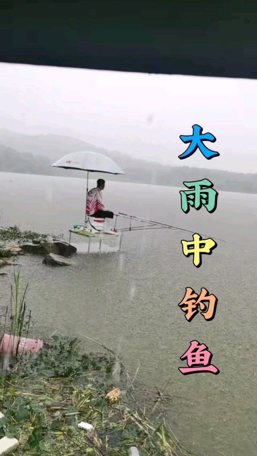 大雨天好钓鱼吗