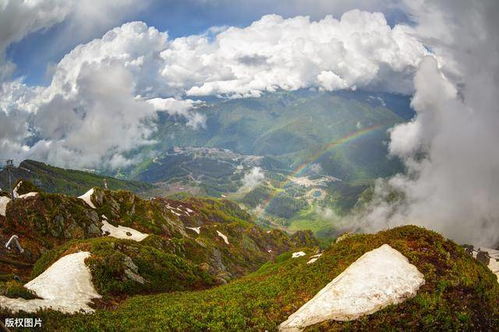 翻过那座山600字记叙文