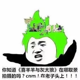 世界上 绿帽子 戴得最多的生物,非它莫属了 