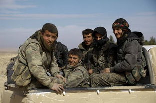 外媒 土外长谴责驻叙美军 要求美与叙库尔德民兵 断交 十 
