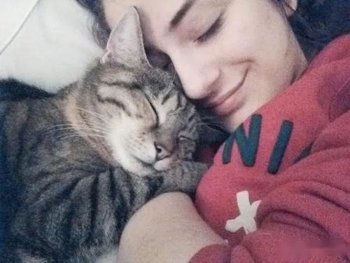 猫为什么喜欢和人睡 又有哪些危害呢 做到这些就能放心睡猫了
