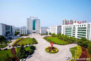郑州轻工业大学简介 郑州轻工业学院新校区位于河南哪个区