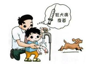 狂犬病，割肉预防(狂犬病可防不胜防)