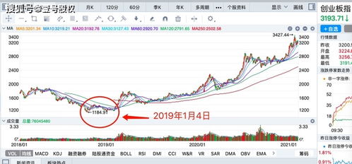 牛市还是熊市 52 的股票低于2440点时,创业板涨166