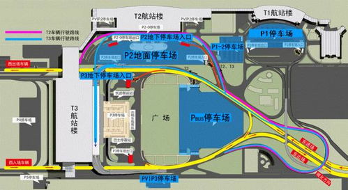 西安咸阳机场过夜停车问题(西安国际机场周围免费停车场)