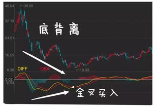 股市中MACD是什么意思？怎样看线条的发展？