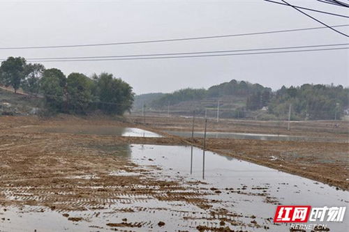 湖南岳阳岳阳县中洲乡